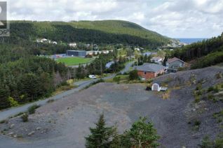 Land for Sale, 61-65 Pondside Road, Chapel Arm, NL