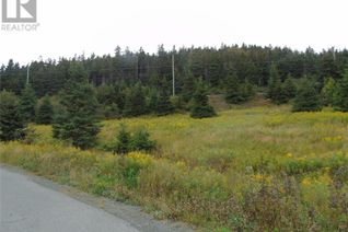 Land for Sale, 0 Southern Side Lance Cove Road, Bell Island, NL