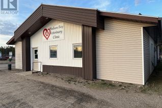 Non-Franchise Business for Sale, Hudson Bay Veterinary Clinic, Hudson Bay, SK