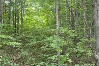 Land for Sale, Pt Lt 20 Concession 5, Chatsworth, ON