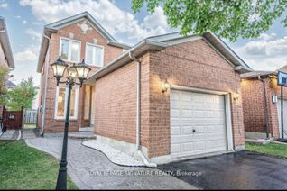 Detached House for Rent, 24 Richwood Cres #Bsmt, Brampton, ON