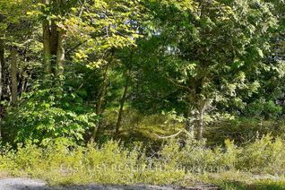 Land for Sale, 1060 Partridge Lane #Lot B, Bracebridge, ON