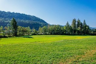 Commercial Land for Sale, 3705 Hot Springs Road, Agassiz, BC