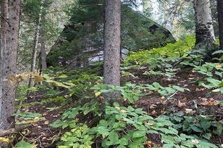 House for Sale, 0000 Madawaska (York) River, Bancroft, ON