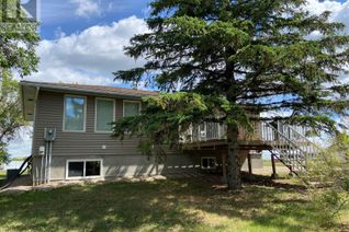 Property for Sale, 317 5th Street, Alameda, SK