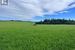 Commercial Land for Sale, On Township Road 413, Rural Clearwater County, AB