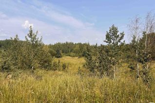 Land for Sale, 635075 Rr 225, Rural Athabasca County, AB