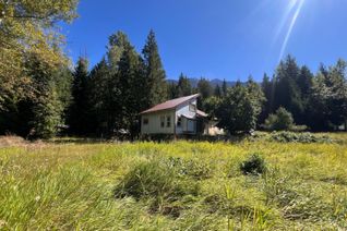 Detached House for Sale, 8479 Red Mountain Rd, Silverton, BC