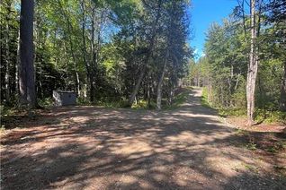 Property for Sale, 1.25 Hec South Cains Road, Blackville, NB