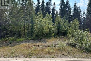 Land for Sale, 23 Douglas Crescent, Elkford, BC