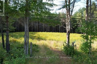 Land for Sale, 20185 Highway 60, Madawaska Valley, ON