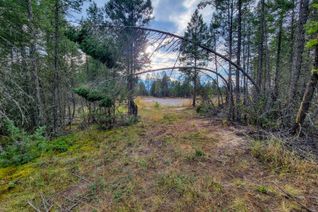 Vacant Residential Land for Sale, Lot 32 Elkhorn Blvd, Windermere, BC