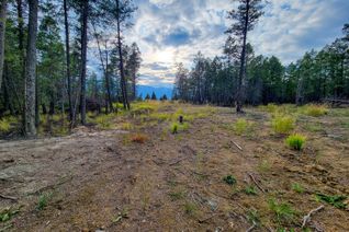 Vacant Residential Land for Sale, Lot 31 Elkhorn Blvd, Windermere, BC