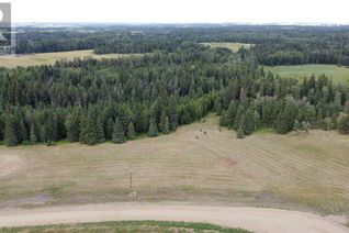 Commercial Land for Sale, On Range Road 261, Rural Ponoka County, AB