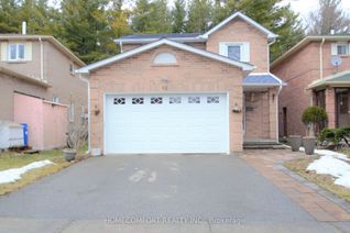 Detached House for Rent, 68 Beck Dr #Bsmt, Markham, ON