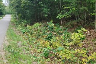 Land for Sale, 49 Lorlei Drive, White Lake, ON