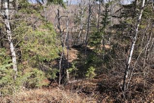 Property for Sale, Rec Lot 10 Blk 3, Hudson Bay Rm No. 394, SK