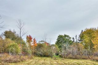 Land for Sale, N/A Locust St. Street, Port Colborne, ON