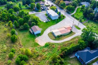 Investment Property for Sale, 12699 Loyalist Pkwy, Prince Edward County, ON