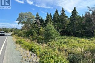 Land for Sale, 113 Conception Bay Highway, Conception  Hr., NL