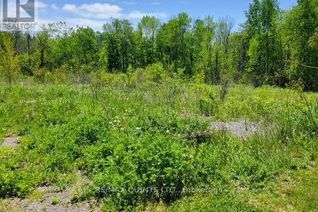 Commercial Land for Sale, 0 Francis Street, Madoc, ON