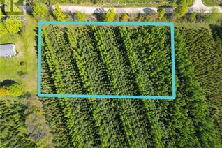 Land for Sale, Pt Lt 13 Sideroad 10, Chatsworth (Twp), ON