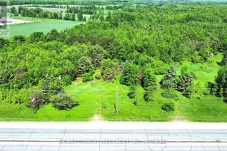 Vacant Residential Land for Sale, 9408 Hwy 11, Severn, ON