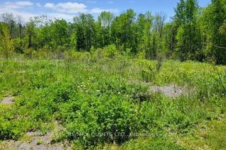 Vacant Residential Land for Sale, 0 Francis St, Madoc, ON