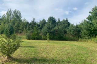 Vacant Residential Land for Sale, 104 Concession 3 W, Trent Hills, ON