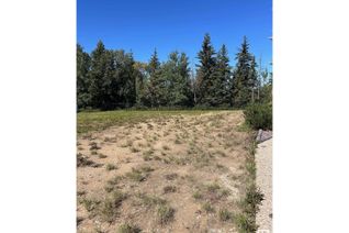 Commercial Land for Sale, 232 Ravine Dr, Devon, AB