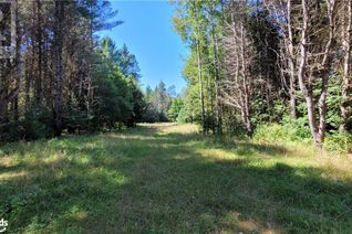 Commercial Land for Sale, 1059 Ablett Court, Algonquin Highlands, ON