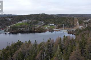 House for Sale, 2 Horsechops Road, Cape Broyle, NL