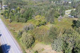 Commercial Land for Sale, Lt 10-12 Main Street, Charlton and Dack (Charlton), ON