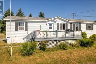 Mini Home for Sale, 109 South Street, St George, NB