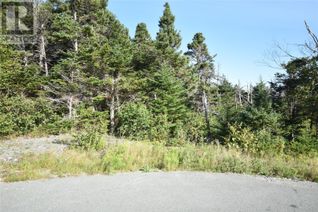 Commercial Land for Sale, 18 Wettlaufer Road, Conception Bay South, NL