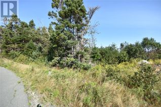 Commercial Land for Sale, 16 Wettlaufer Road, Conception Bay South, NL