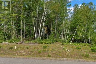 Land for Sale, 14 Birchview Drive, Barry's Bay, ON