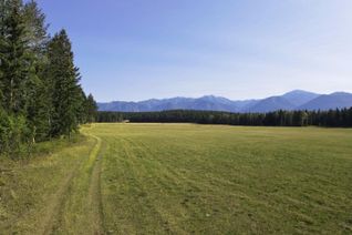 Land for Sale, Dl7156 Potter Road, Invermere, BC