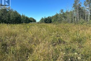 Land for Sale, Juda Road, Rural Northern Sunrise County, AB