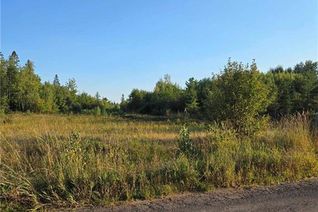 Commercial Land for Sale, 309 Lower Bagdad Road, Youngs Cove, NB