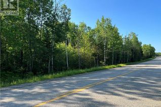 Land for Sale, Lot Route 540, Elmwood, NB