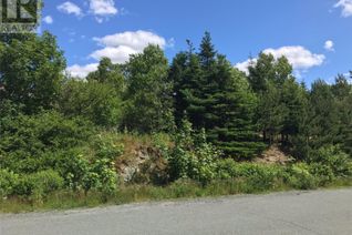 Commercial Land for Sale, 25 Cliffside Avenue, Conception Bay South, NL