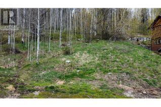 Land for Sale, 1018 Silvertip Road, Rossland, BC