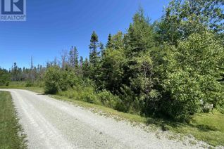 Land for Sale, Lot River Denys Road, Judique, NS