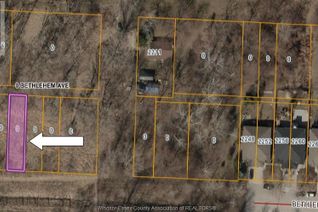 Commercial Land for Sale, V/L Bethlehem, Windsor, ON