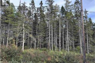 Land for Sale, Point View Road, Louisdale, NS