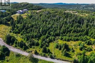 Commercial Land for Sale, 20 Kennedys Lane, Holyrood, NL