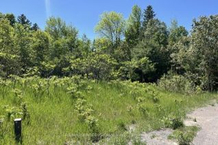 Land for Sale, 21 Laver Cres, Trent Hills, ON