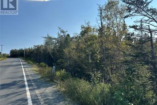 Commercial Land for Sale, 195 Conception Bay Highway, Georgetown, NL