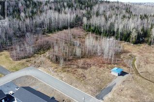 Commercial Land for Sale, N/A Lot Andow Street, Woodstock, NB